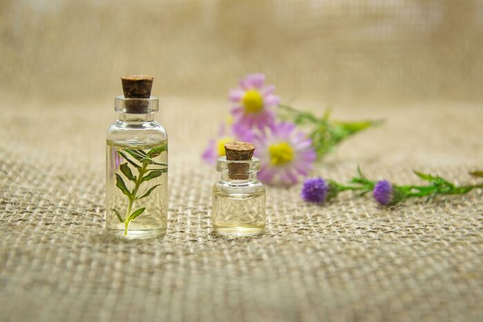 Glass bottles with plants, symbolizing industries built on fooling people, displayed on burlap with purple flowers in the background.