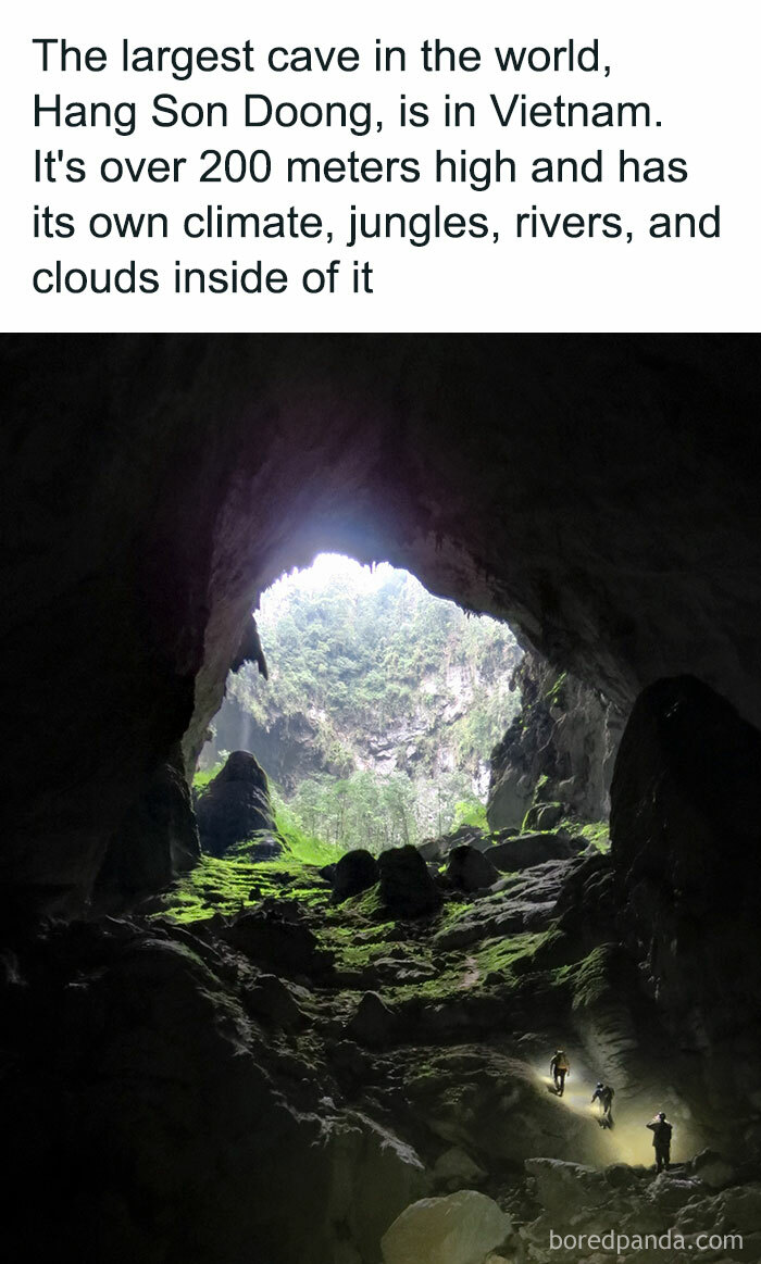 Hang Son Doong cave in Vietnam with explorers inside, displaying its vast interior and unique ecosystem.