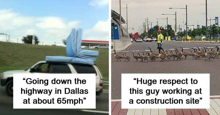 Hilarious And Bewildering Sightings That Left Drivers Questioning Reality (New Pics)