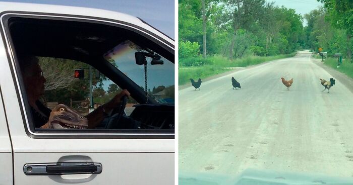 70 Times People Saw Something Interesting On The Road And Just Had To Take A Pic (New Pics)