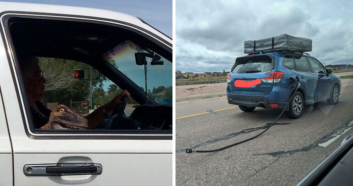 70 Times People Saw Something Interesting On The Road And Just Had To Take A Pic (New Pics)