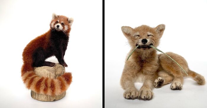 30 Intricate Needle-Felted Animals By Mikaela Bartlett