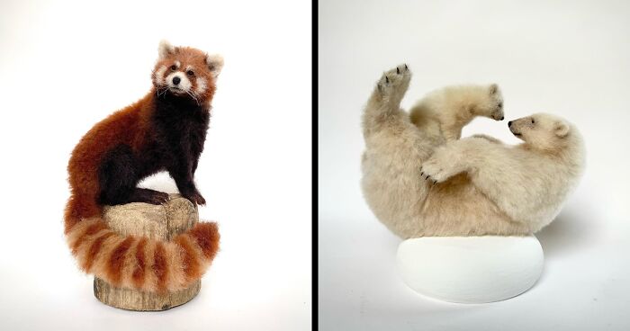 From A Playful Dog To A Wise Owl, This Artist's Needle-Felted Animals Might Make Your Day (30 Pics)