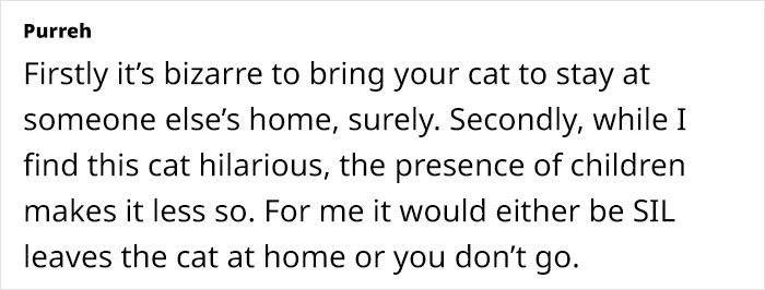 Text expressing views on bringing a hostile cat to family Christmas gatherings.