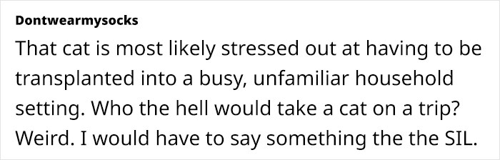 Comment discussing a stressed cat being brought to an unfamiliar household during Xmas.