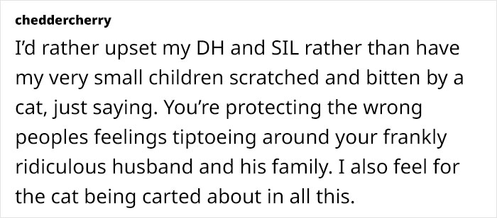 Text post about a SIL refusing to leave a hostile cat alone during Christmas, causing family conflict.