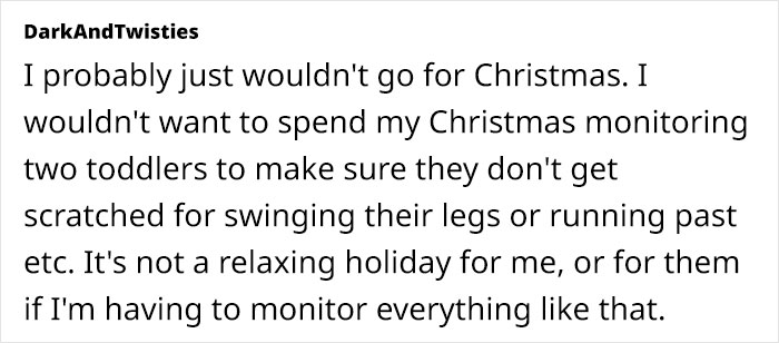 Christmas discussion about monitoring kids and dealing with a hostile cat during the holiday.