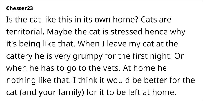 Comment discussing a cat\'s territorial behavior and stress, suggesting it might be better left at home during Xmas.