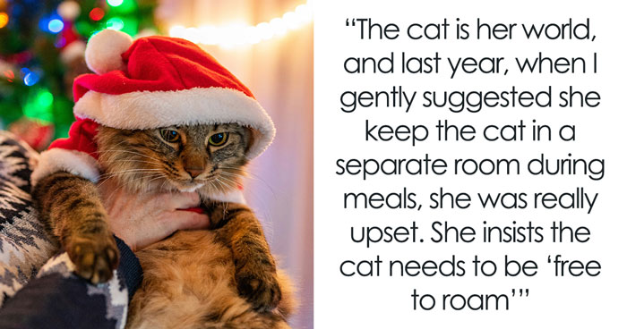 Woman Asks, “AIBU To Expect My SIL To Keep Her Aggressive Cat Away During Xmas?”