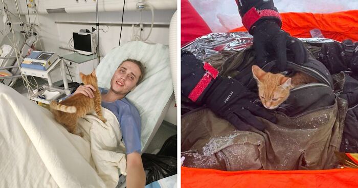 Kitten Keeps Owner Warm and Saves His Life After They Fall Into 400-Meter Freezing Mountain Ravine