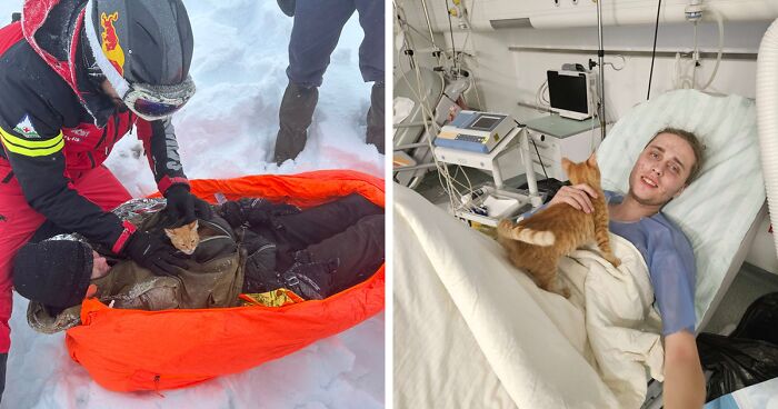 This Man Got Stuck In A Deep Mountain Ravine During Snowstorm But His Little Kitten Saved His Life