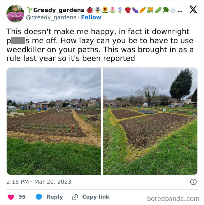 Gardens with patchy weedkiller lines, showcasing frustratingly lazy maintenance in community plots.