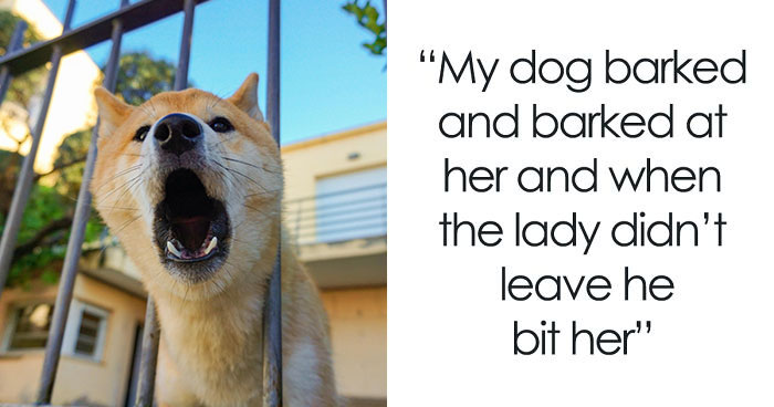 Woman Refuses To Pay $3,000 After Her Dog Bit A Neighbor Who Broke Into Her House