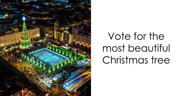 30 Christmas Trees From 30 Cities Around The Globe: Vote And Choose The Most Beautiful One