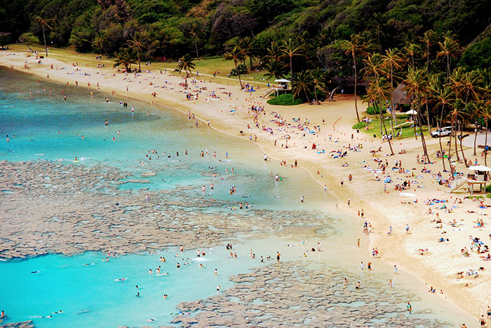 30 Stories Of People Witnessing Something Wild And Shocking At The Beach