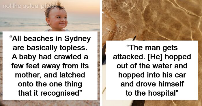 46 Wild Beach Stories That Sound Made Up But Aren’t