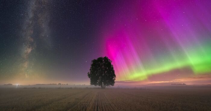 Top 25 Aurora Borealis Images Of 2024 Revealed By 