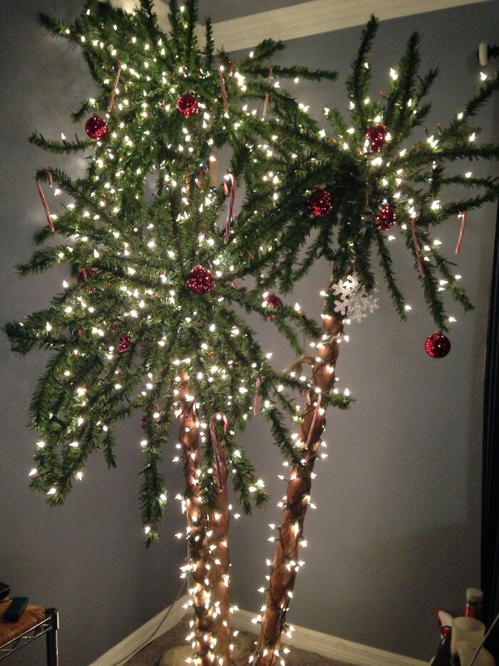 I Give You: The Southern Californian Christmas Palm!