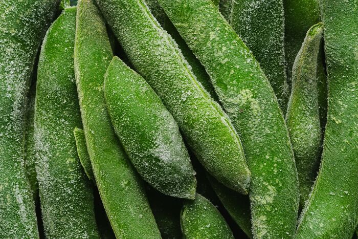 Frozen green beans stacked together, covered in frost.