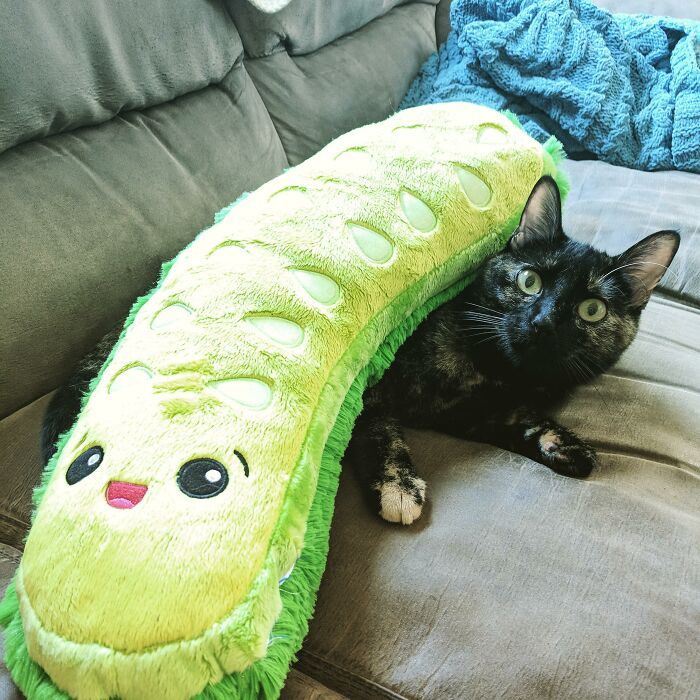 Cat lying under a green plush toy on a couch, showcasing funny stuff with cats.