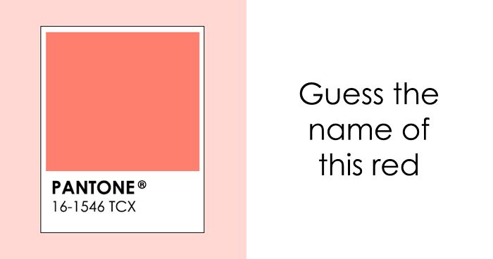 Pantone Announced The Color Of 2025 – Take A Look At This Color Trivia From 2000 To 2025