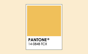 Pantone Announced The Color Of 2025 – Take A Look At This Color Trivia From 2000 To 2025