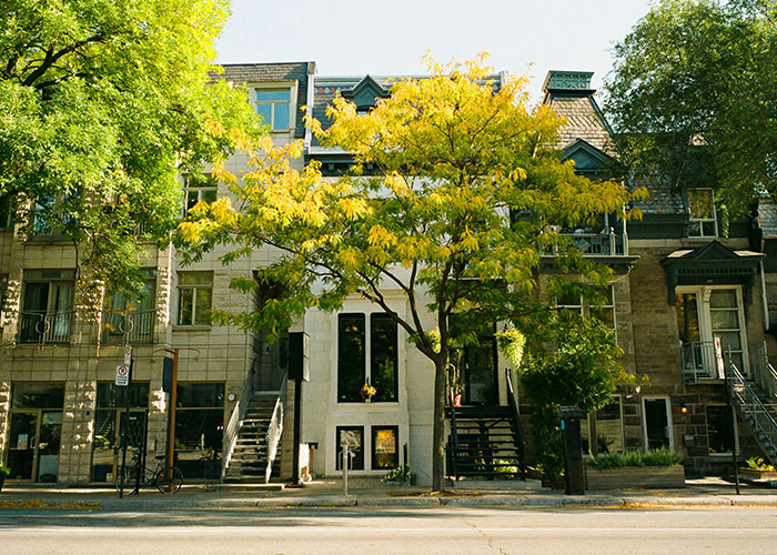 Historic buildings with trees in a quiet neighborhood, representing persistent Mormons' influence on local architecture.