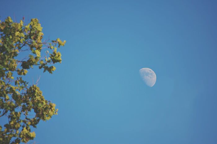 Half moon in a clear blue sky with leafy tree on the left, symbolizing a moment realized.