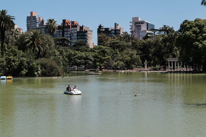 People enjoying peace and quiet on a pedal boat in a serene park lake, surrounded by trees and city buildings in the distance.