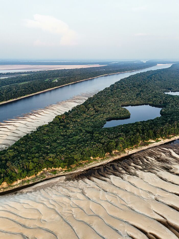 Aerial view of a lush green forest with winding river, showcasing rare intricate sand patterns and everyday natural beauty.