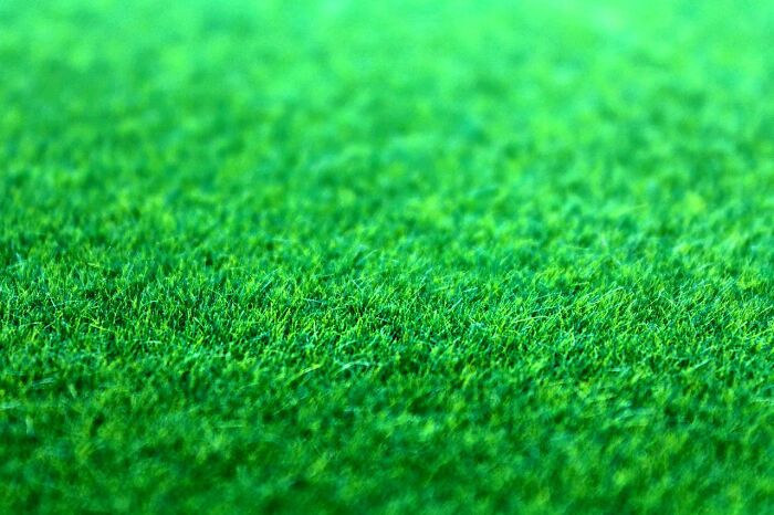 Close-up of green grass surface, representing secrets in ordinary jobs.