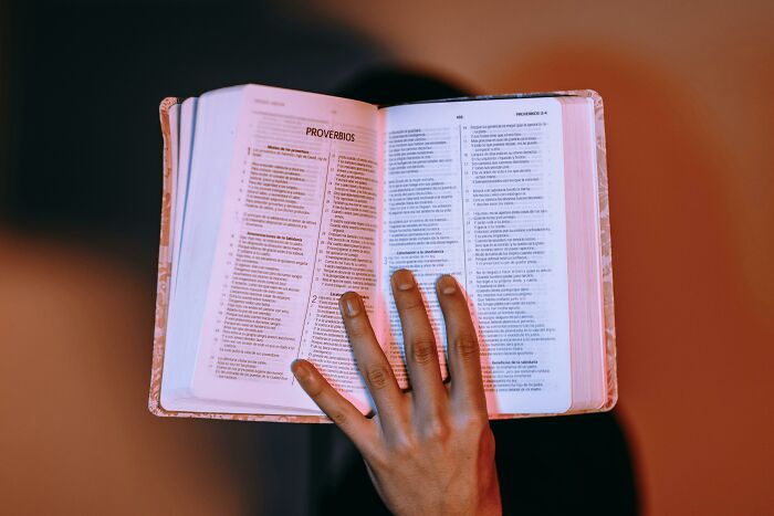 A hand holding an open book in a warm-lit room, symbolizing translation across 18 languages.