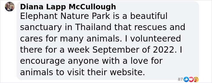 Comment about volunteering at Elephant Nature Park, a sanctuary rescuing animals in Thailand.