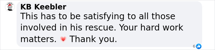 Comment praising the rescue of a matted dog frozen to the ground, acknowledging the hard work involved.