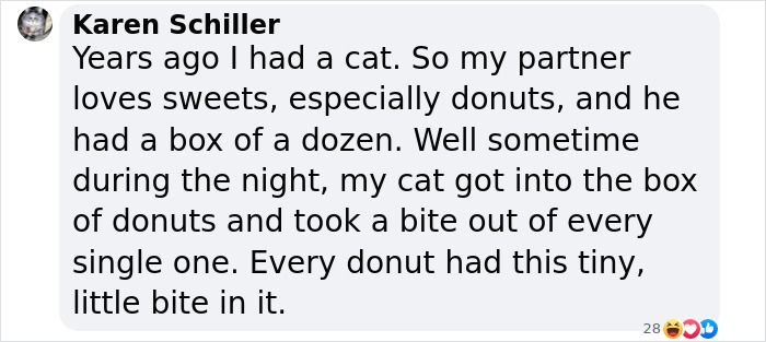 This Local Donut Shop Waiting Line Always Starts Behind A Cat Who’s Obsessed With Sweet Treats