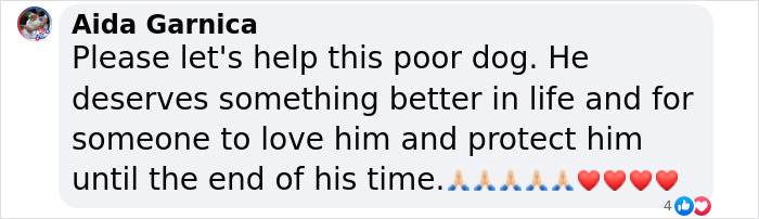 Comment urging adoption of a 12-year-old rescued pup from harsh conditions, expressing love and support with emojis.