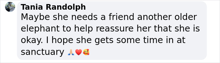 Comment discussing the need for a rescued elephant to find friendship and reassurance in a sanctuary.