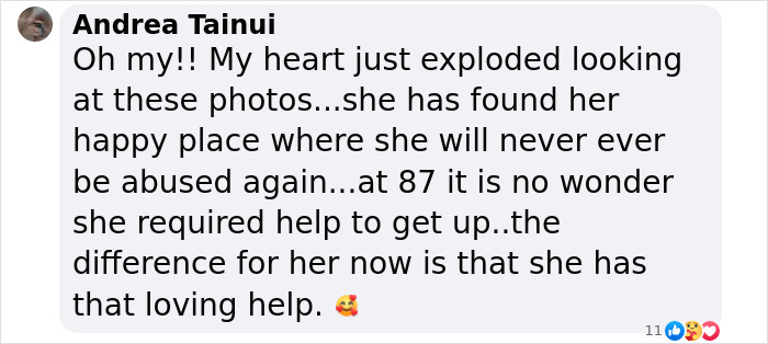 Comment praising the rescue of an elderly elephant, expressing joy for its newfound freedom and care at age 87.