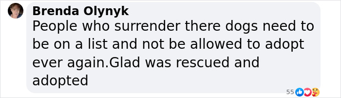 Screenshot of a social media comment about a rescued dog, discussing adoption and surrender issues.