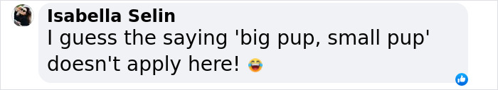 Comment about a huge singleton puppy from a rescued dog, featuring a playful emoji.