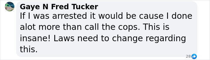 User comment on a squatter arrest, expressing frustration about the legal system.