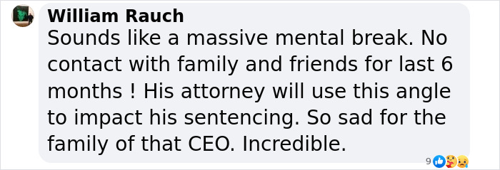 A comment discussing mental break and legal strategy for a CEO's upcoming sentencing.