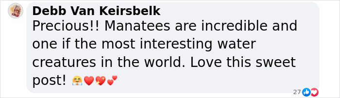 Comment by Debb Van Keirsbelk admiring manatees, calling them incredible and interesting water creatures, with heart emojis.