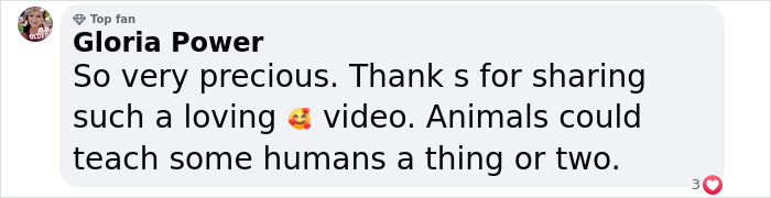 Comment expressing admiration for a video of a baby manatee kissing its mom, highlighting heartwarming animal behavior.