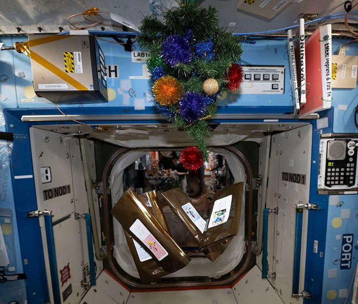 Festive Photo Of Stranded Astronauts Sparks Conspiracy Theories: “Something Fishy Is Going On”