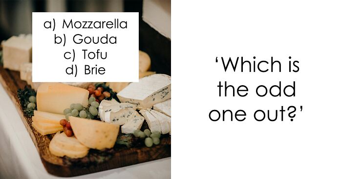 Puzzle Your Brain: 30 Odd One Out Questions That’ll Test Your Logic