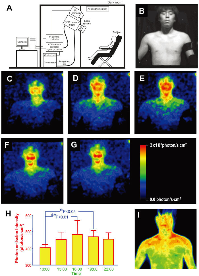 Diagram of photon emission study, thermographic images of a person, and graph illustrating emission intensity variations. Rare-Everyday-Facts.