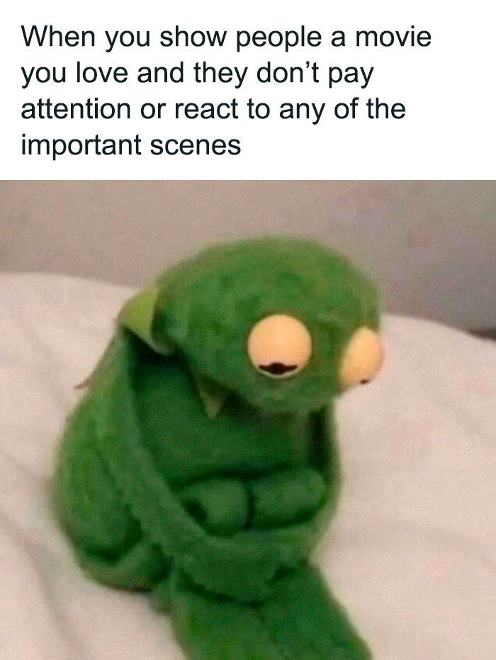 Sad Kermit meme expressing disappointment, capturing humorous moments.