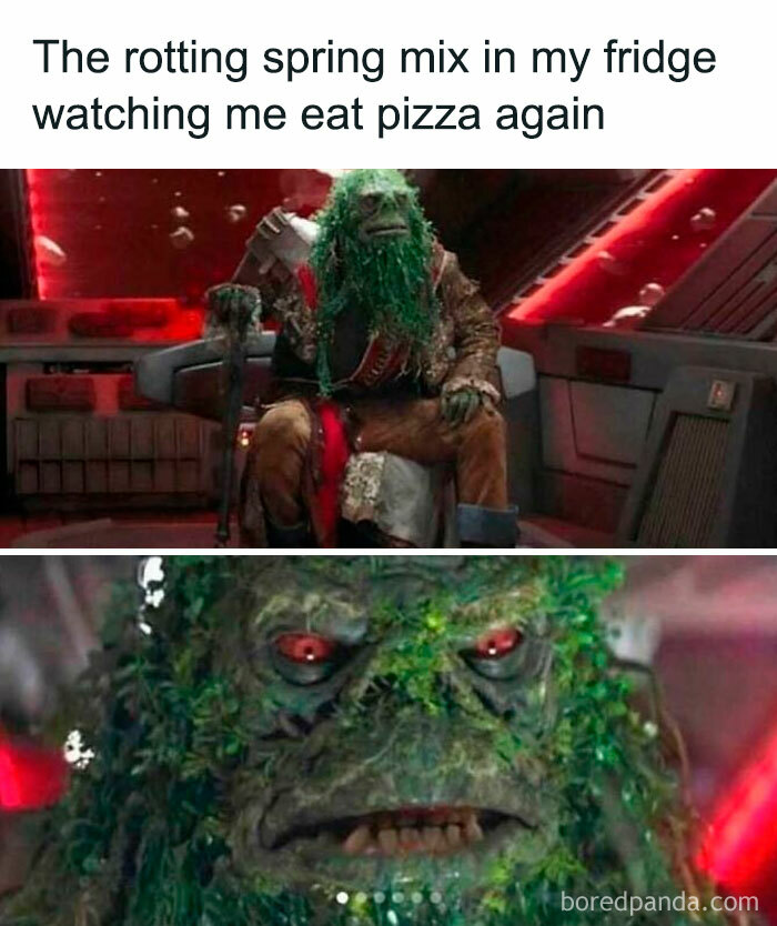 Humorous meme depicting a grumpy green creature, likened to unused fridge salad watching someone eat pizza.