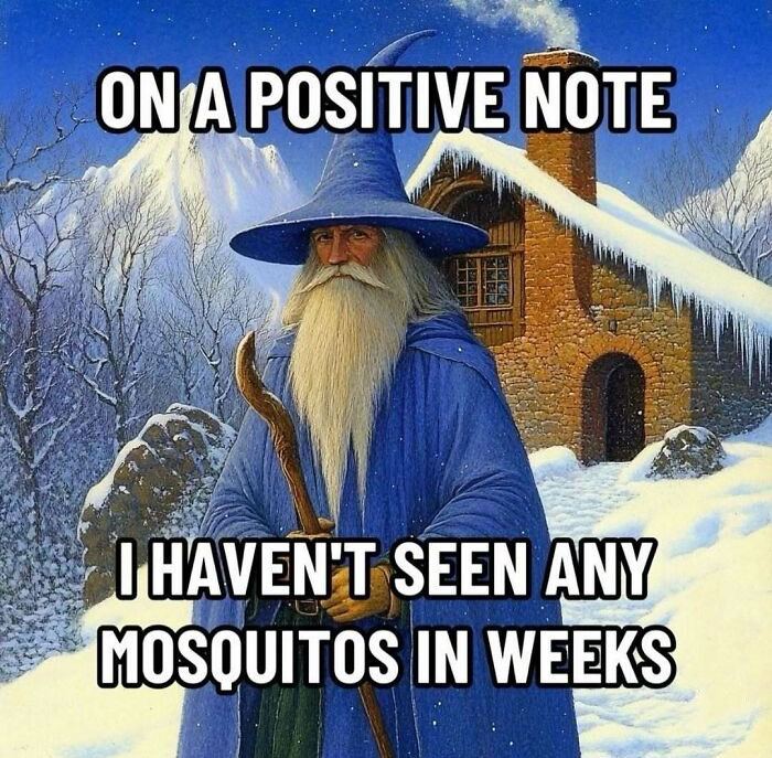 Wizard in blue robe with humorous meme about mosquitoes, standing near a snowy cottage, looking unhinged.